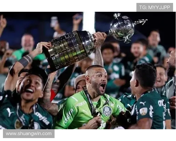 巴西球队展现统治力连续七年夺得南美解放者杯冠军荣耀